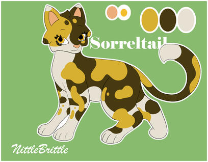 Sorreltail from warrior cats design - spotted tortashell cat with color reference.