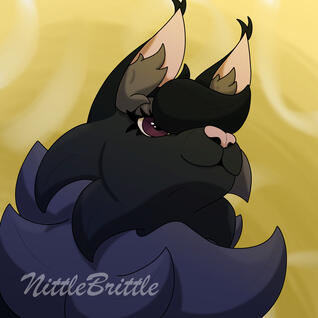 Starless Sky portrait - Fluffy black cat looking offscreen with yellow background