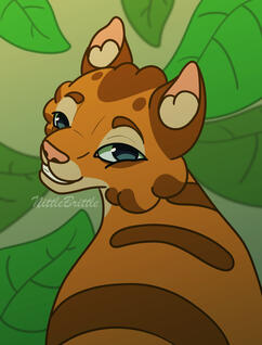 Orange cat looking back at camera with leaf background