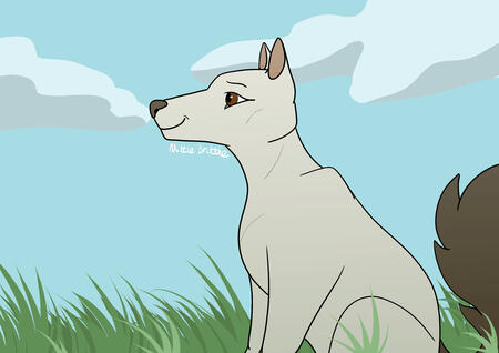 White dog on grassy background.