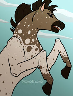 Appaloosa horse rearing up of cloudy background.