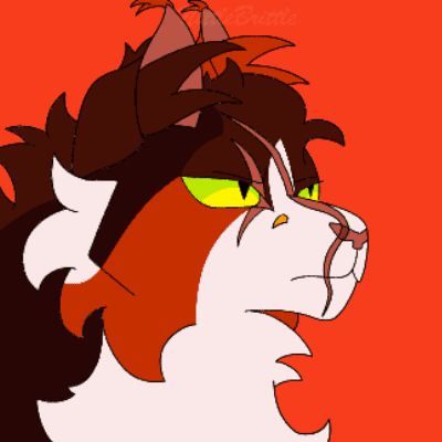 Animated Icon of an orange and black cat growling at the camera for Stray_Kat on YouTube!